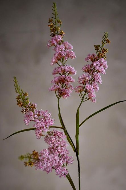 Hovedbilde Hortensia stilk