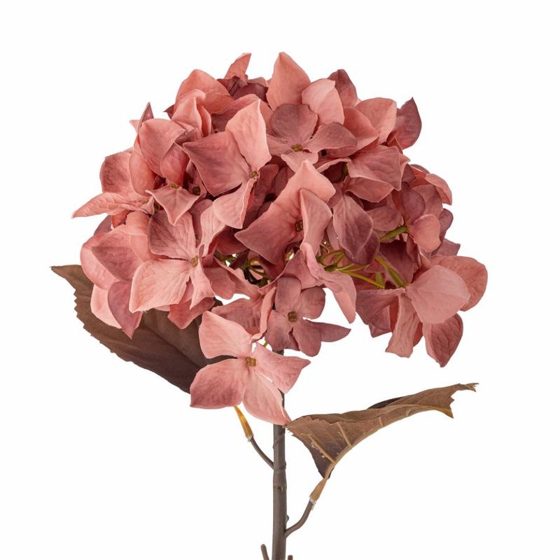 Hortensiastilk, rose