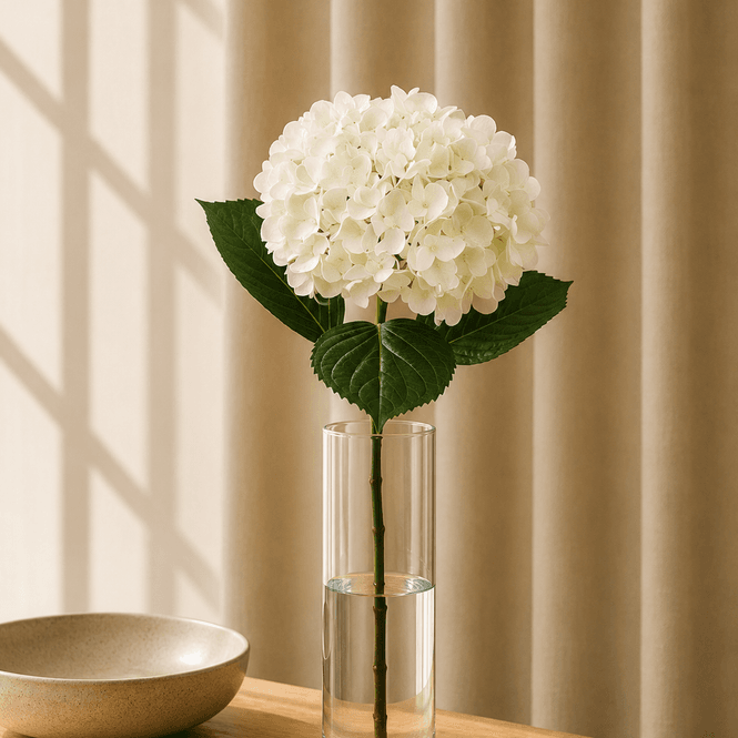 Hovedbilde Hortensia Hvit 65cm