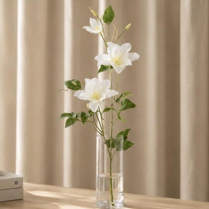 Hovedbilde Clematis Hvit
